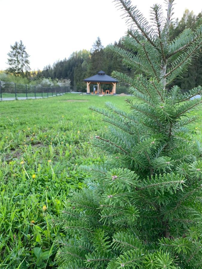 Ferienhaus Horizon - Dobre Miejsce Niedzica