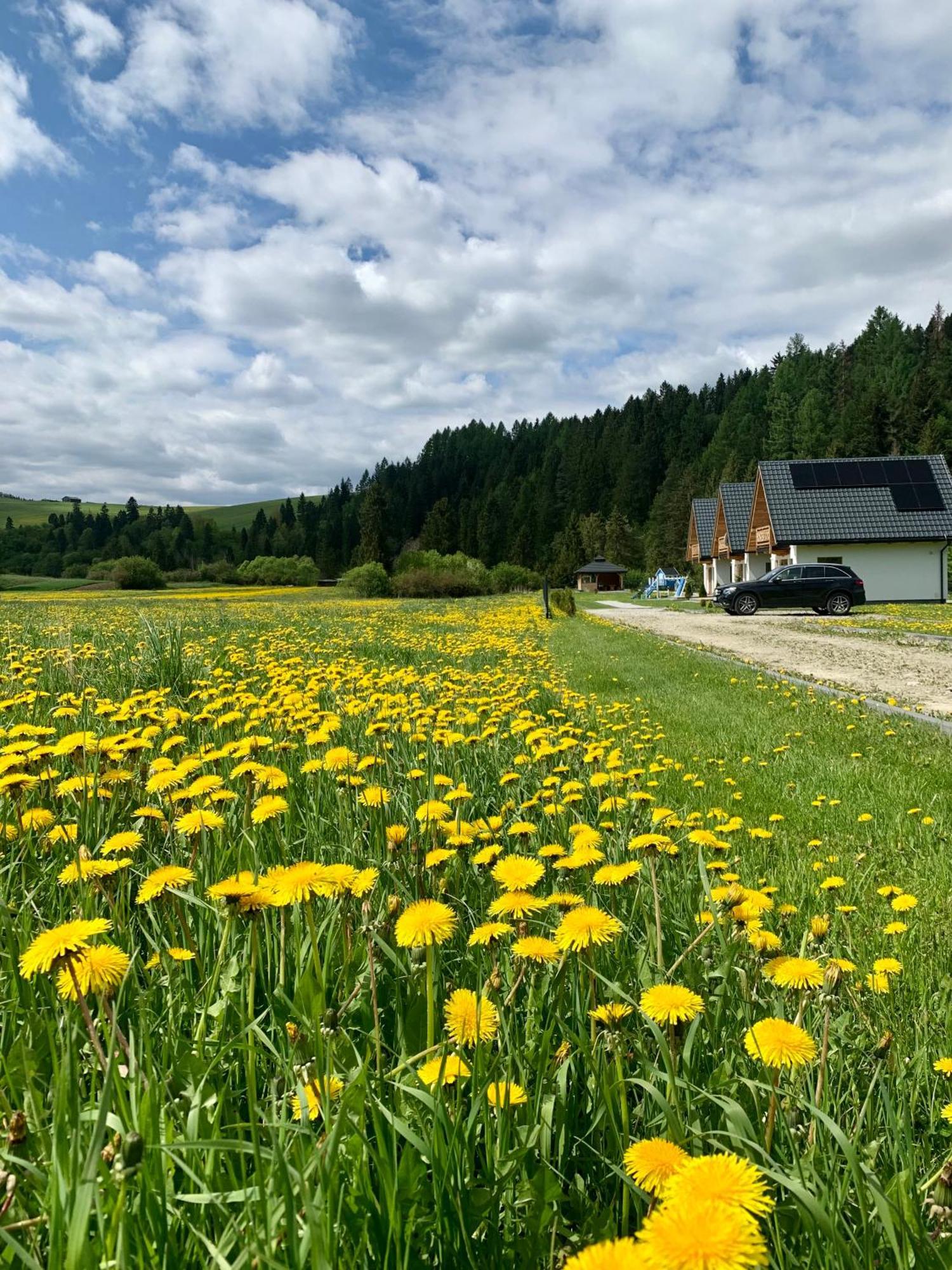 Horizon - Dobre Miejsce Ferienhaus *