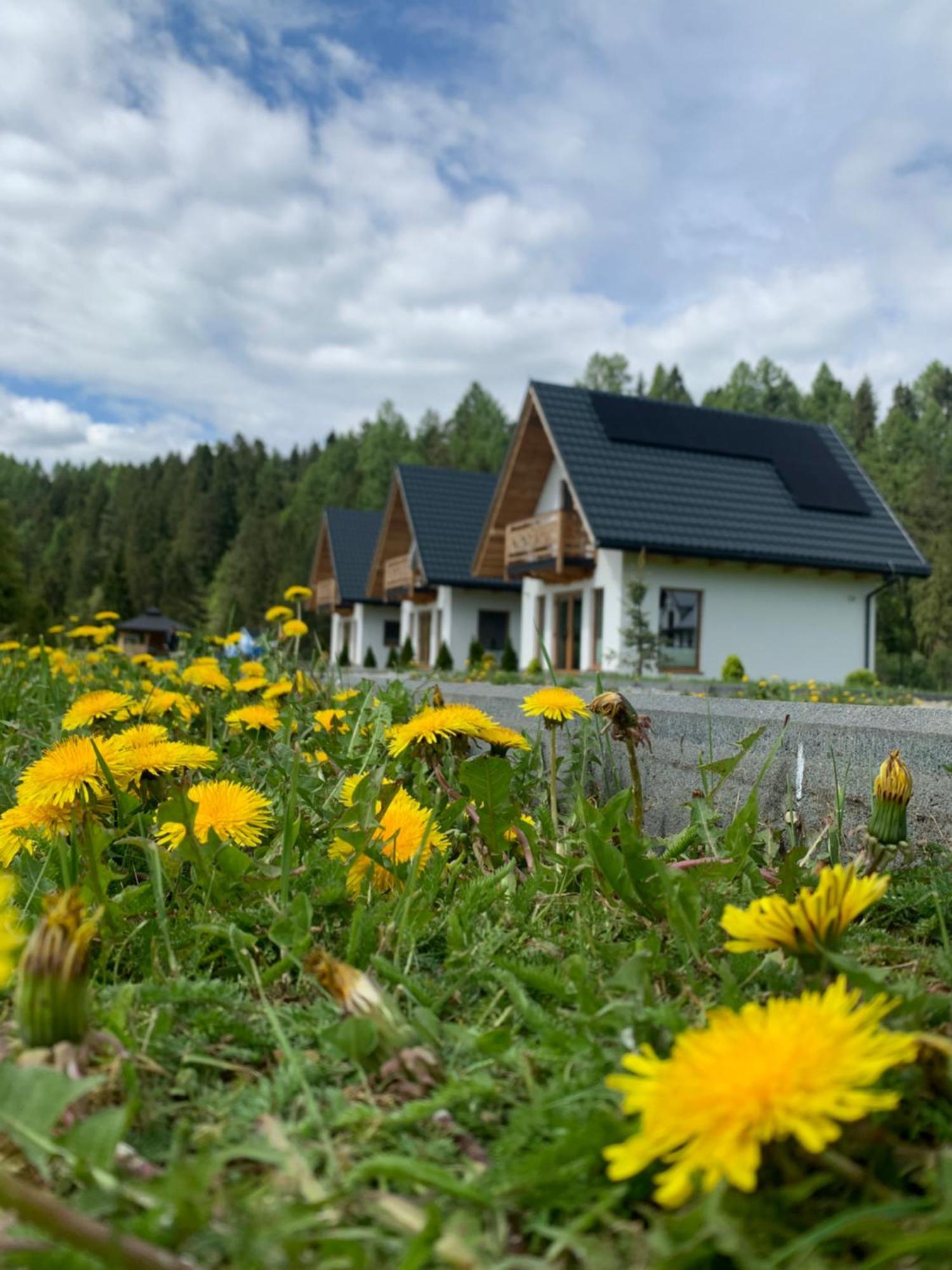 Ferienhaus Horizon - Dobre Miejsce